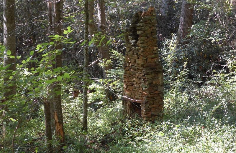 Hazel Creek chimney