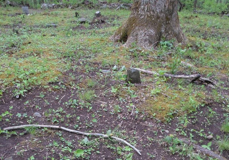 Cole (Vance Newman) Cemetery