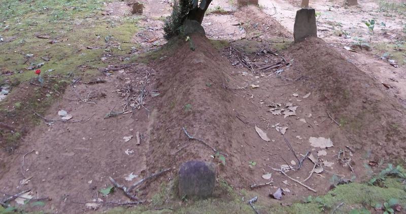 Lower Indian (Queen) Cemetery