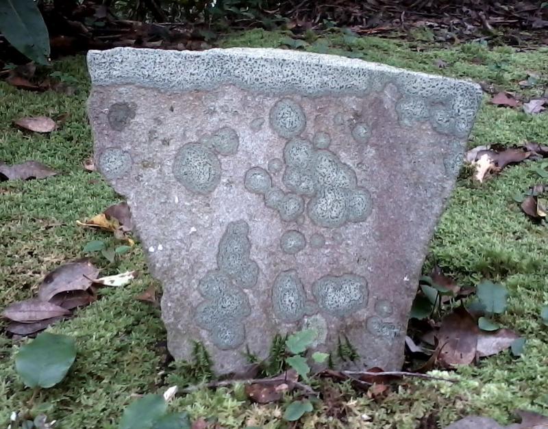 Over time, the formation of moss on the old stones adds to their character.